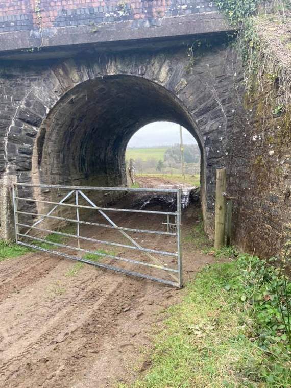 The gate that was left open, allowing sheep to get out onto the road