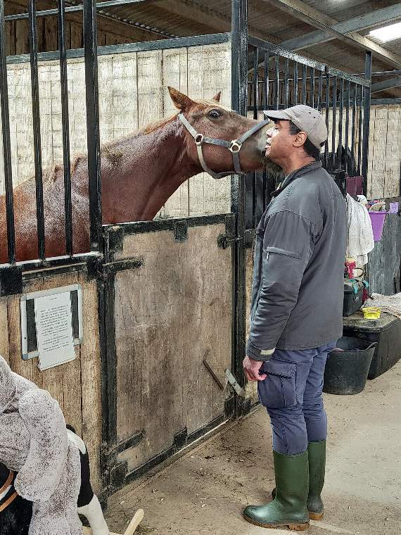 Therapeutic intervention with horses is being offered to veterans at the Hugs Foundation