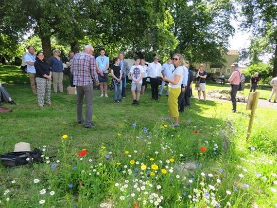 Castle Park in Liskeard has been transformed with wildflowers and plants for pollinators, fruit trees, places to sit, and paths