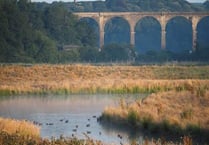 Why not become a community trustee?