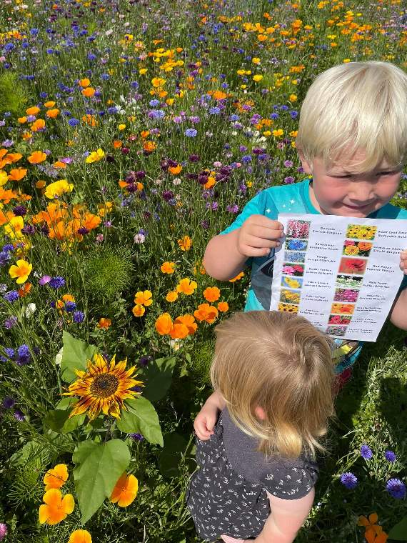 Flower spotting guides can be collected before you look around the display