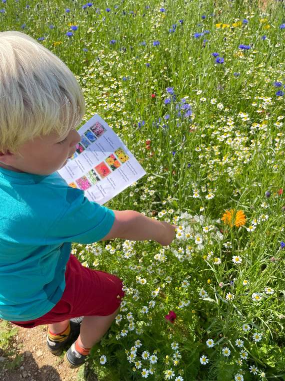 Max, five, points out a bloom he's seen on the flower guide