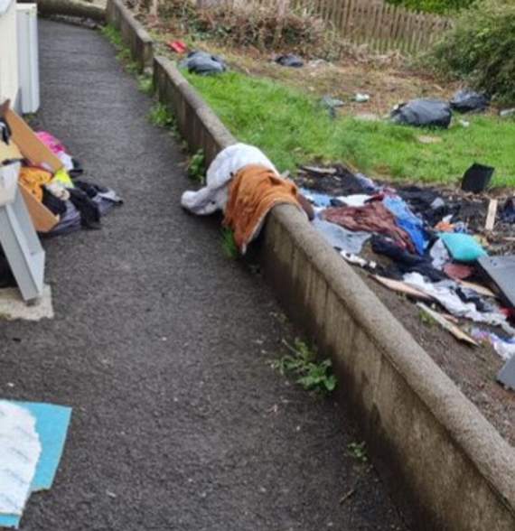 Rubbish discarded near the family's home was attracting rats
