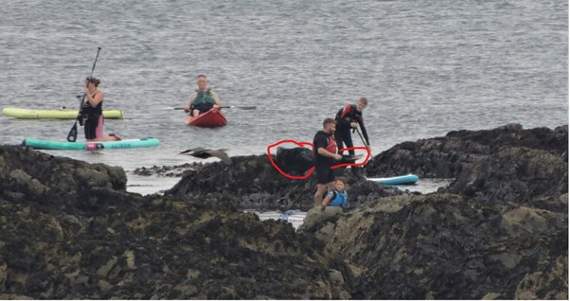 The red circle shows a seal hauled out on the rocks which had been almost completely surrounded by people