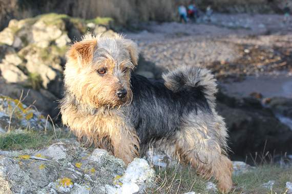 The family had been on holiday and were visiting Penlee Point. Helen has pleaded with people to take fish hooks and sharp objects home with them