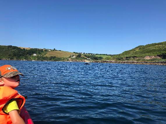 Melissa's son Stanley watching the humpback whale from a distance