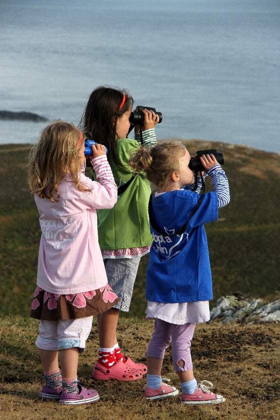 All you need to take part in the Whale and Dolphin Watch is a pair of binoculars