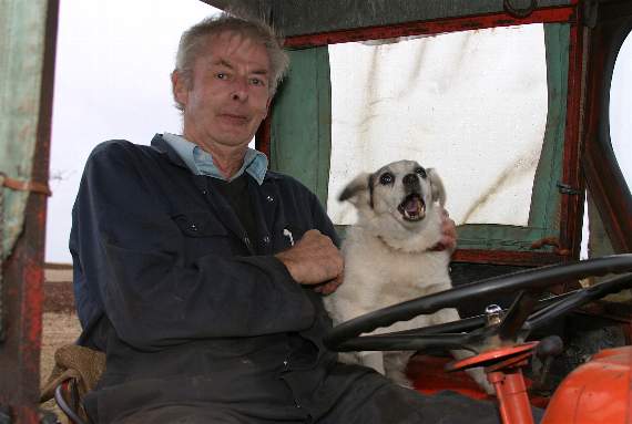 Jack Russell Beth and her owner, Colin Sanders in their tractor at the Mid Devon Ploughing Association match at Wembworthy.  AQ 8237