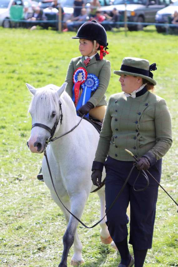 The champion lead rein pony in the main ring at the show. AQ 3603
