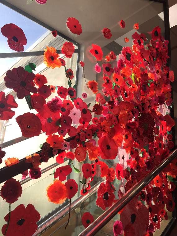 Part of the display created by the art department of poppies made by students at Chulmleigh Community College.