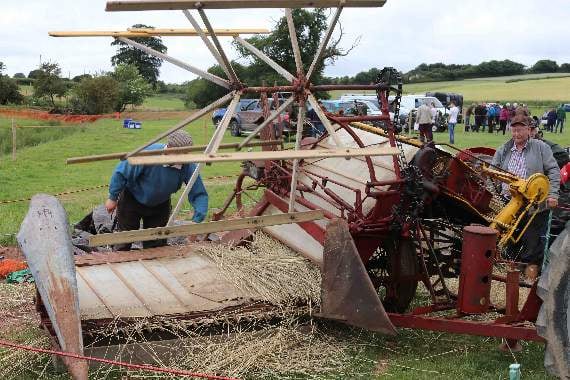 A working demonstration of a vintage harvester was enjoyed by many. AQ 2205