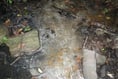 Farmer fined for polluting stream with silage effluent