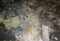 Farmer fined for polluting stream with silage effluent
