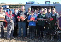 Vintage and classic tractors and horses took part in ploughing match near Crediton