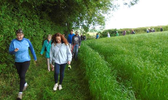 Enjoying the Jane Iffla Memorial Walk at Raddon Hills. Photo: David Nunn