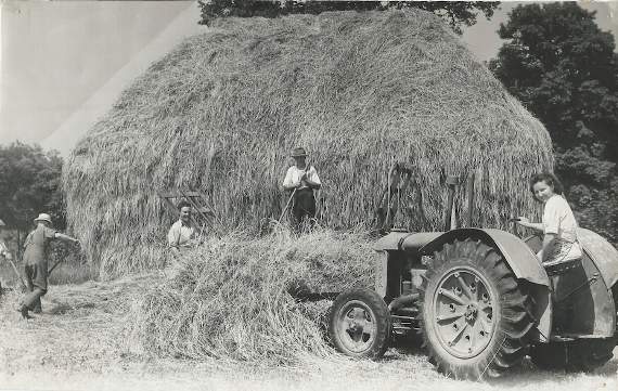Harvest at Bondleigh near Winkleigh in the 1930s.