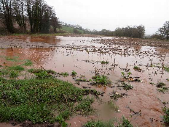 Fields sodden with water that had run off from the road. 0610