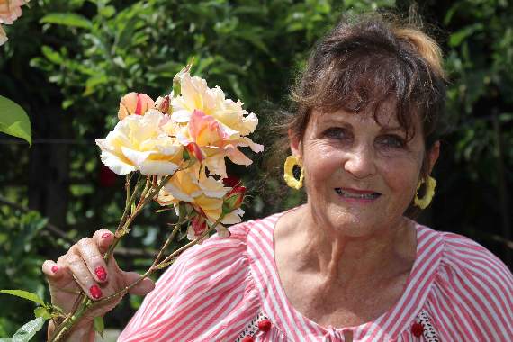 Miranda Olver with a beautiful rose in her garden during the Open Garden event. AQ 1563
