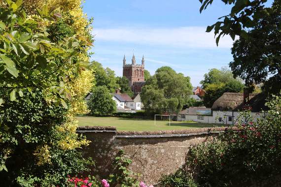 The view of Crediton Parish Church from White Cottage. AQ 1584.
