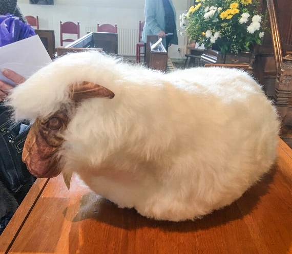 The footstool trimmed with lambswool presented to Rev Cross.