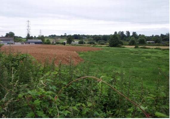 More than 4,000 tons of waste was dumped on the floodplain.