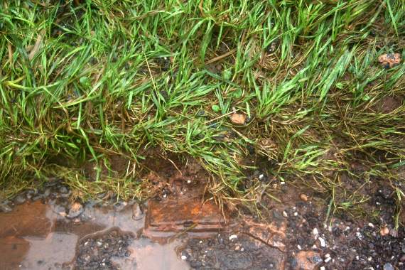 One of the square inspection covers that would be completely hidden if people did not keep the grass clear. 3510