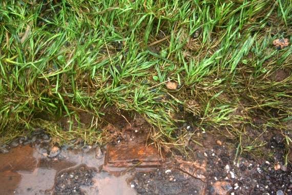 One of the square inspection covers that would be completely hidden if people did not keep the grass clear. 3510