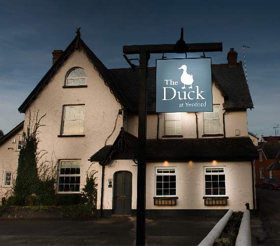 The Duck at Yeoford.