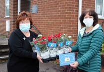 Crediton Lions present roses to cheer up local elderly