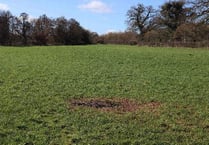 Crediton mystery monolith disappears from field after six weeks