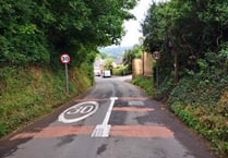 Dog attacks, bus restrictions and road safety among items discussed at Sandford Council meeting