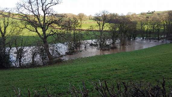Dowrich Bridge area at Sandford by Mike Brett.