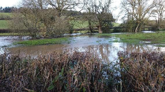 The view from Priorton Bridge, Sandford by Mike Brett.