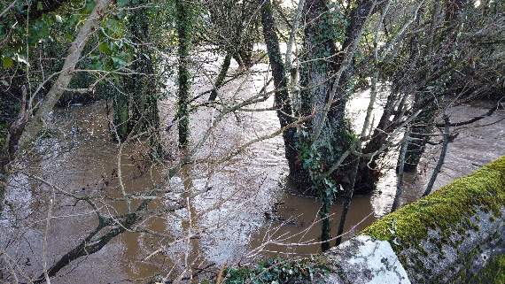 The view from Priorton Bridge, Sandford by Mike Brett.