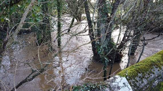 The view from Priorton Bridge, Sandford by Mike Brett.
