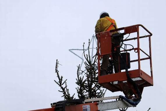 Tom Coomer putting more lights on top of the tree in Crediton's Town Square. AQ 9730