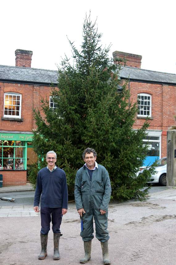 Roger Pennington, left and Roger Lee, who have put up the large Christmas tree in Crediton’s town square. AQ 9684