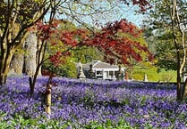 Shobrooke Park Garden opening - book now