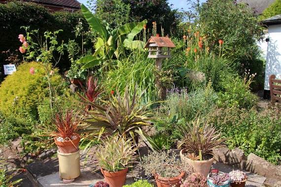 A section of the garden at White Cottage which includes a water feature, a watering can with water pouring from it. AQ 3560