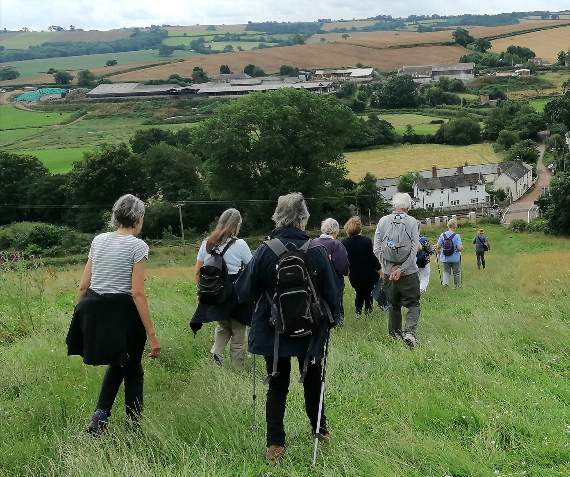 Breakheart on the Great Park walk by Cheryl Lewis.