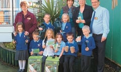 Pupils boosted by shop's seeds donation