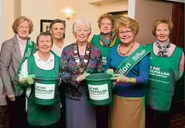 Bridge day, market boosts charity funds