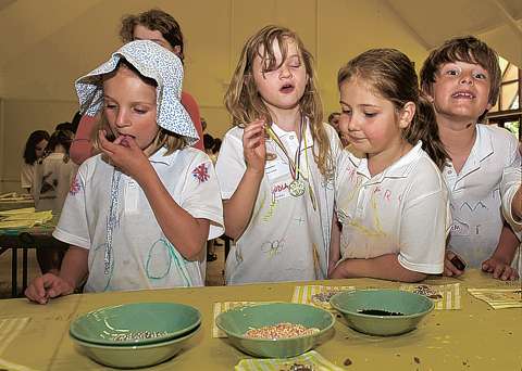 Going for gold at the holiday club