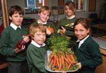 Charity boosted by Hollycombe harvest