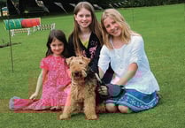 Records tumble at summer school fete