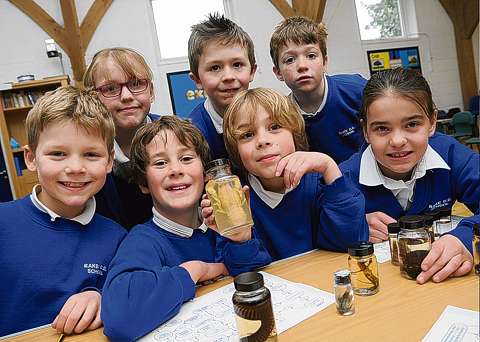 Pupils take a walk on the wild side