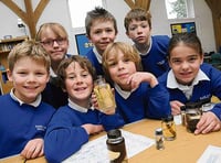 Pupils take a walk on the wild side