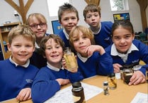 Pupils take a walk on the wild side