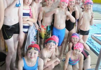 Young swimmers make a splash