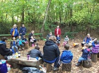 Bears enjoy the great outdoors